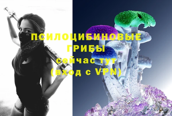 гидропоника Михайлов