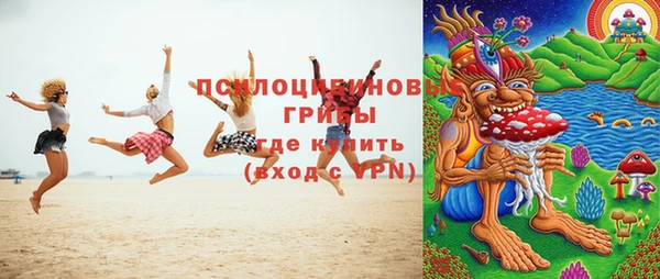 гидропоника Михайлов