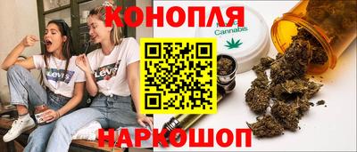 шишки Пугачёв