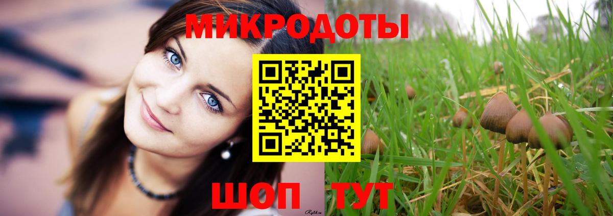 Галлюциногенные грибы Psilocybe  Псилоцибиновые грибы Psilocybine cubensis  Вход с VPN  Омск 